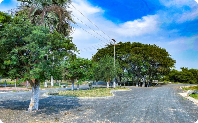 SUC. ASUNCION