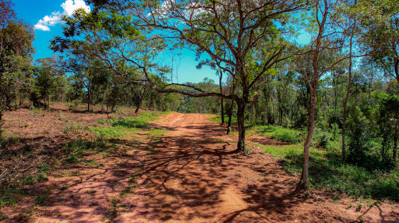 ECO PARQUE TRINIDAD