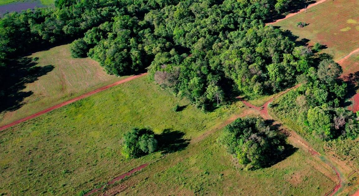 Vistas de Encarnación
